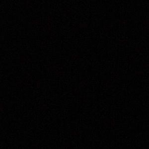 Meet your Posher, Leonardo